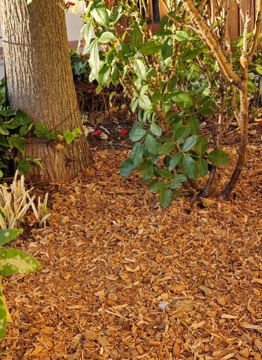 Hartholz-Rindenmulch